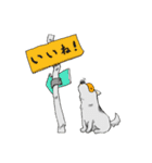 めがねいぬ（個別スタンプ：1）