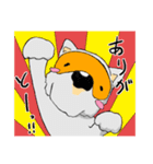 めがねいぬ（個別スタンプ：3）