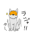 めがねいぬ（個別スタンプ：4）