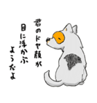 めがねいぬ（個別スタンプ：8）