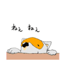 めがねいぬ（個別スタンプ：9）