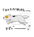 めがねいぬ（個別スタンプ：11）