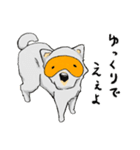 めがねいぬ（個別スタンプ：12）