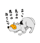 めがねいぬ（個別スタンプ：16）
