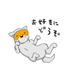 めがねいぬ（個別スタンプ：18）