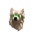 CHI HUA HUA  WOLF  3（個別スタンプ：8）