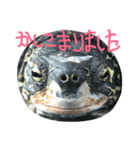 我が家のカメたち。第7弾（個別スタンプ：7）