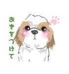 まろ犬の敬語（個別スタンプ：19）