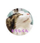 いっつぐるーびー（個別スタンプ：2）