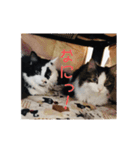 いっつぐるーびー（個別スタンプ：5）