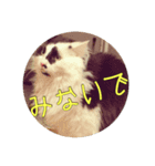 いっつぐるーびー（個別スタンプ：6）