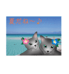 ロシにゃん  夏ver.（個別スタンプ：11）