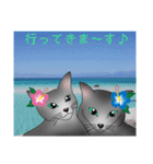 ロシにゃん  夏ver.（個別スタンプ：22）