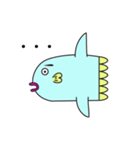 マンボウ？マンボー？（個別スタンプ：13）