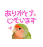 小桜インコ ラッキー時々マメルリハ そら（個別スタンプ：4）