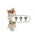 えんがちょ（個別スタンプ：8）