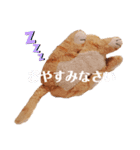 トラのぬいぐるみのトラこ（個別スタンプ：7）
