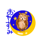 どうぶつ達の国（個別スタンプ：1）