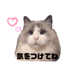 トイ/アビー（個別スタンプ：4）