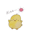 ぴよぴよっち（個別スタンプ：1）