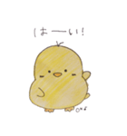 ぴよぴよっち（個別スタンプ：3）