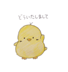 ぴよぴよっち（個別スタンプ：5）