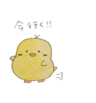 ぴよぴよっち（個別スタンプ：8）