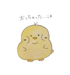 ぴよぴよっち（個別スタンプ：10）