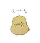ぴよぴよっち（個別スタンプ：11）
