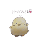 ぴよぴよっち（個別スタンプ：13）