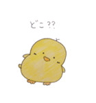 ぴよぴよっち（個別スタンプ：19）