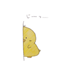 ぴよぴよっち（個別スタンプ：20）