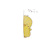 ぴよぴよっち（個別スタンプ：21）