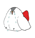 Foomal's（個別スタンプ：10）