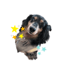 Tico's collection2（個別スタンプ：5）