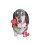 Tico's collection2（個別スタンプ：8）