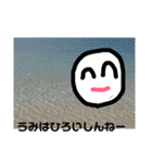 シロちゃんだしん（個別スタンプ：5）