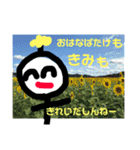 シロちゃんだしん（個別スタンプ：19）