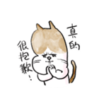 そらいけ！しらすくん。中国語バージョン（個別スタンプ：13）