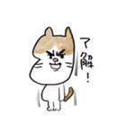 そらいけ！しらすくん。中国語バージョン（個別スタンプ：16）