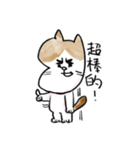 そらいけ！しらすくん。中国語バージョン（個別スタンプ：17）