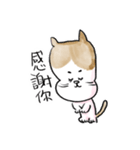 そらいけ！しらすくん。中国語バージョン（個別スタンプ：18）