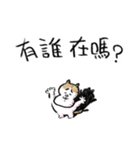そらいけ！しらすくん。中国語バージョン（個別スタンプ：21）