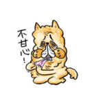 鍵・瘋癲にゃん太日記、中国語ver.（個別スタンプ：3）