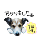 爽快カイ君（個別スタンプ：3）