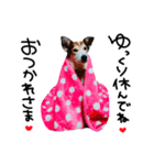 爽快カイ君（個別スタンプ：5）