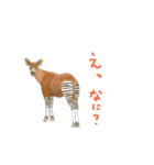 タピオカ女子とリアル動物（個別スタンプ：11）