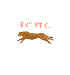 タピオカ女子とリアル動物（個別スタンプ：14）