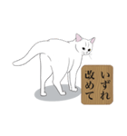 お江戸猫（個別スタンプ：4）