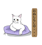 お江戸猫（個別スタンプ：5）